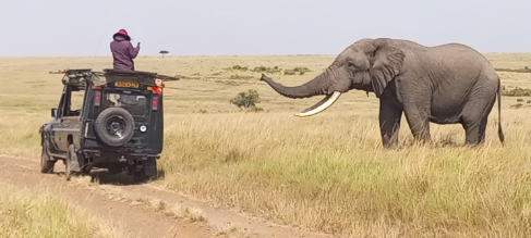 Kenya 12 days of big game safari and people of the great rift valley