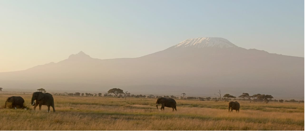 Kilimanjaro Trek - 7 Days