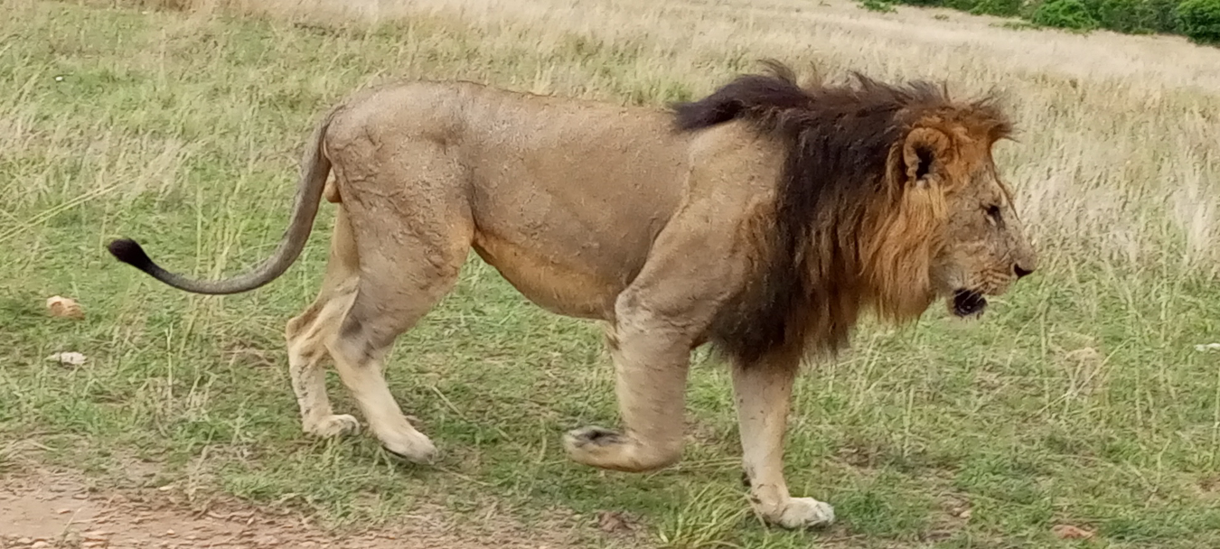 Tanzania explorer 7 days